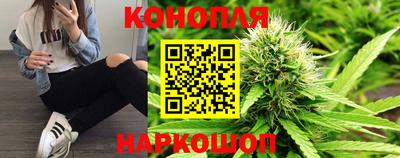 apvp Славгород