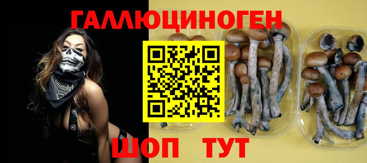 Псилоцибиновые грибы Magic Shrooms  Псилоцибиновые грибы Cubensis  Вход с VPN  Белорецк 