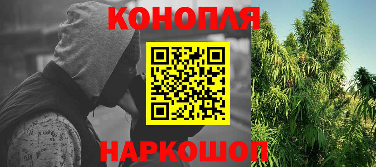 Бошки марихуана тримм  Вход с VPN  Канабис Amnesia  Белорецк 